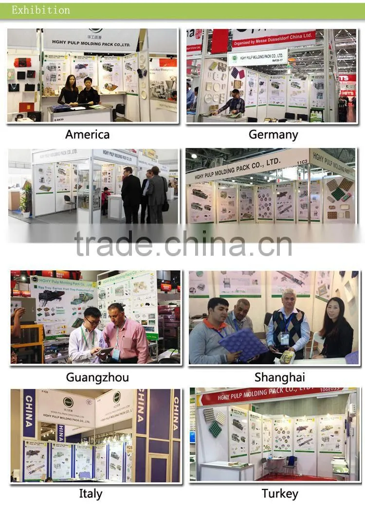 paper pulp molding machine pulp thermoforming machine