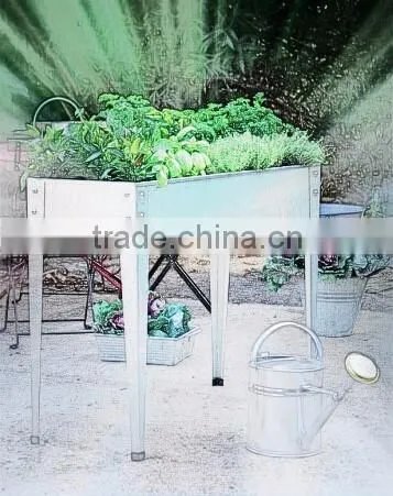 One Square Meter Garden Bed