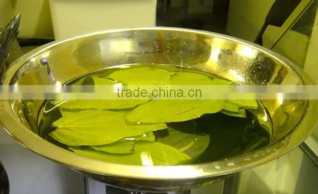Pure Betel Leaf Oil | Betel Leaf Essential Oil For Export Only