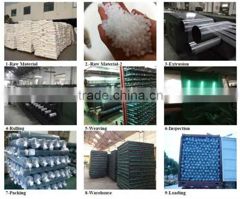 Hdpe Sun Anti Uv Agriculture Shade Net For Green House To Protect Plants