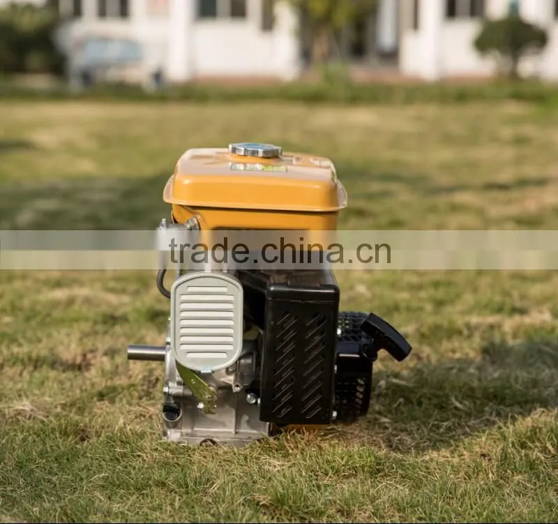 Factory Direct Sale High Quality Same As Robin EY20 5.5HP Gasoline Engine
