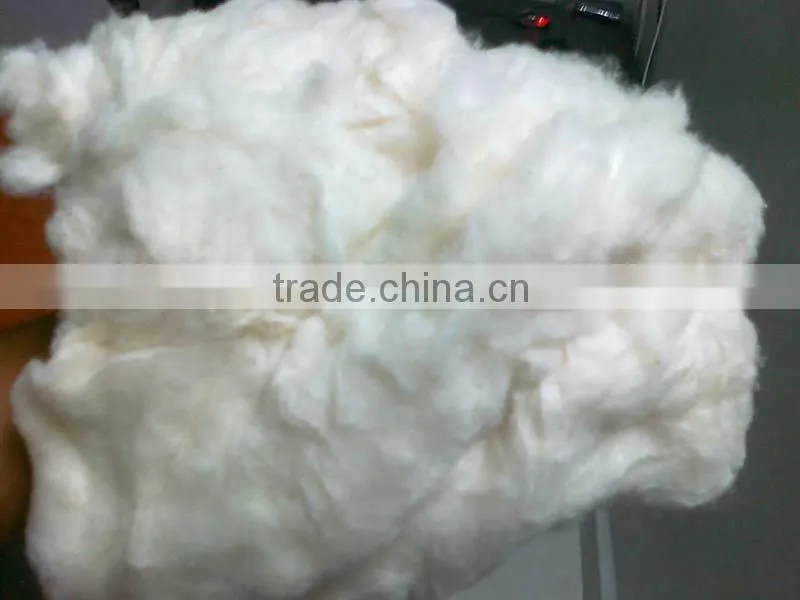 Cotton Waste Comber Noil