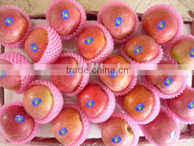 qinguan apple