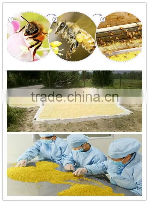 Support OEM China factory direct sales lowest price newest sweet tea pollen