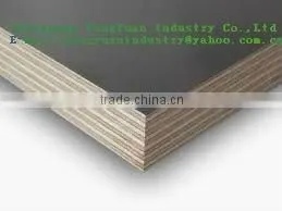 Luan Plywood