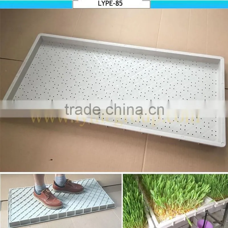 Green Roofs hydroponic trays gardening pots green rooftop planters