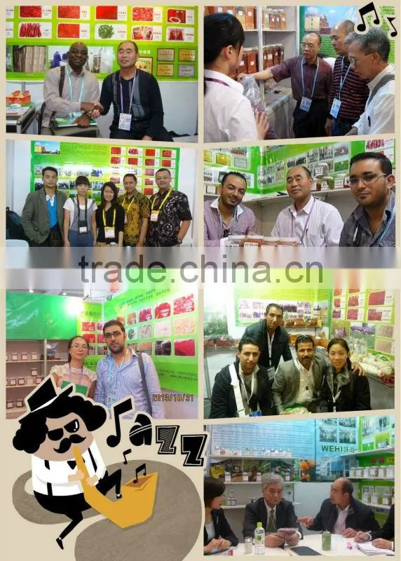 Chinese Factory Supplier High Purity A Grade Sweet Red Paprika with Stem