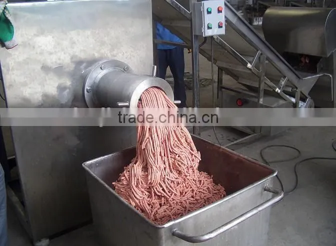Frozen Meat Grinder/mini electric meat grinder