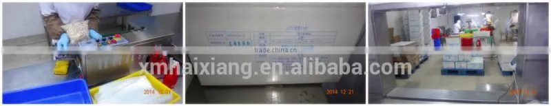 Professional export dried squid supplier from China