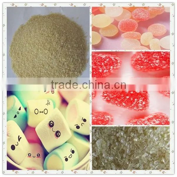 colored hard candy gelatin plant/bovine gelatin powder/gelatin powder price
