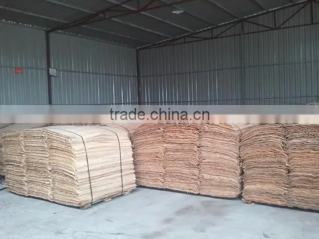 CHEAP NATURAL EUCALYPTUS CORE VENEER FOR KOREA MARKET