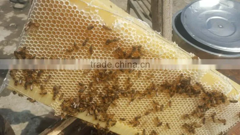 2017 Hot Sale Food Grade Automatic Honey Flow Bee Hive frame