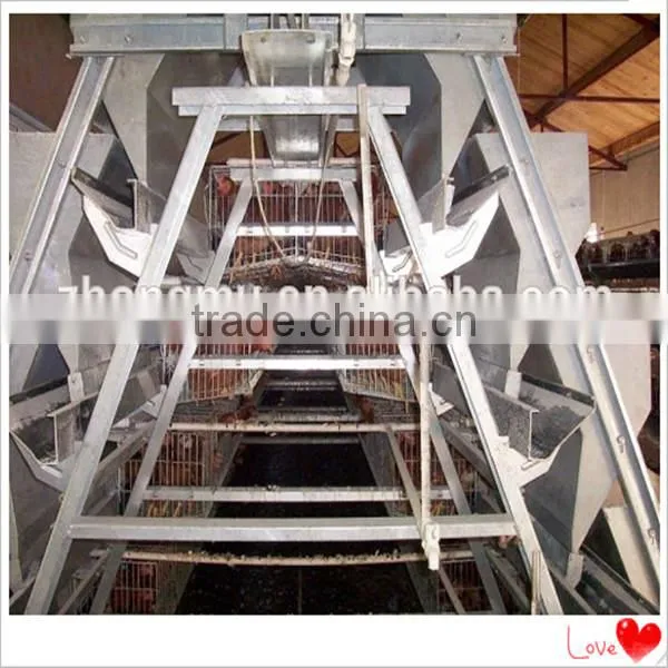 fully automatic chicken cage equipment for poultry farming
