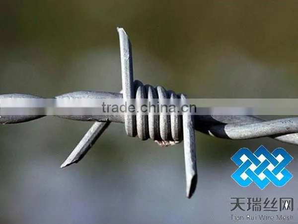 High quality different types of galvanized barbed wire
