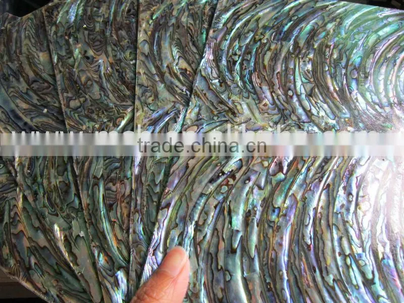 Thick New Zealand green abalone shell paper self-adhesive shell paper ,shell laminate