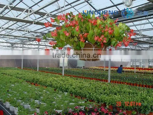 Greenhouse for Tomato Growing