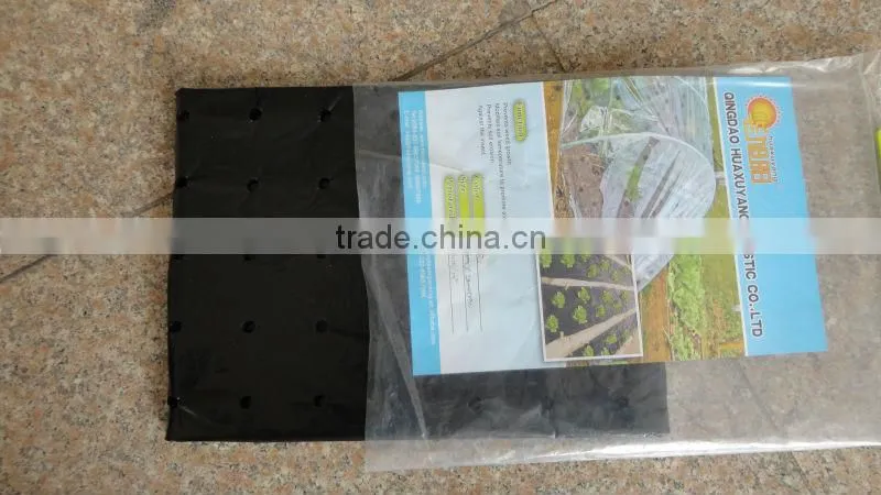 poly tunnel film sheet
