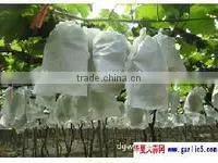 High Quality 100%PP Nonwoven Hydrophilic Fabric