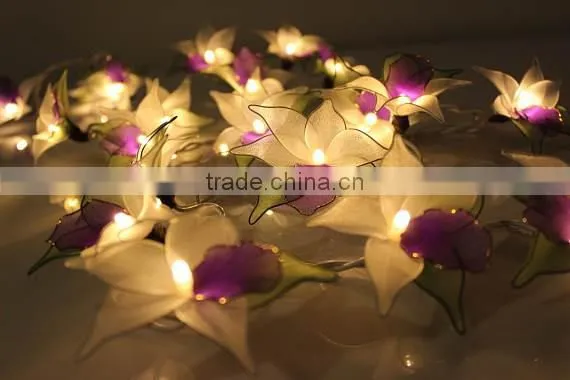 Warm White Operated LED String Lights
