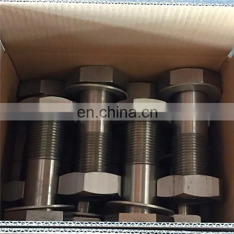 DIN 582 Eye Nut M20 SS304