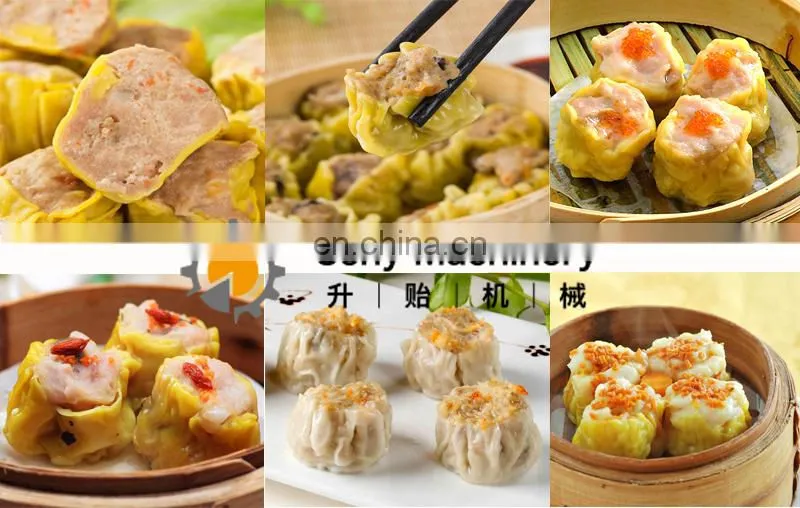 Seny Factory Small Moulding Forming Processor Shumai Machine