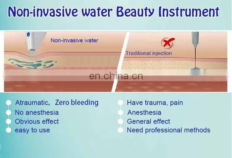 Seyo TDA Needle Free Mesotherapy Injection Gun Air Pressure Injector Gun for Whiten