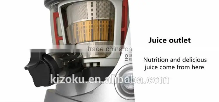 2016 Home Appliance Fruits And Vegetables Juice Extractor/Juice Machine
