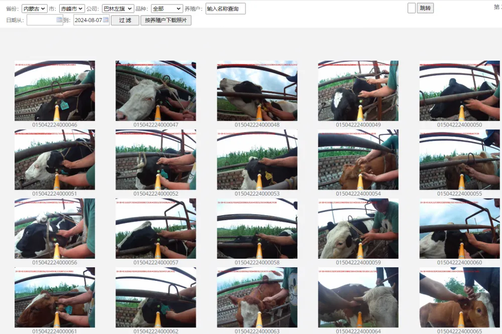 RFID stick reader 1.png