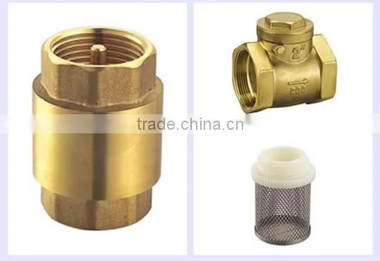 brass check valve with filter and plastic core CE proved