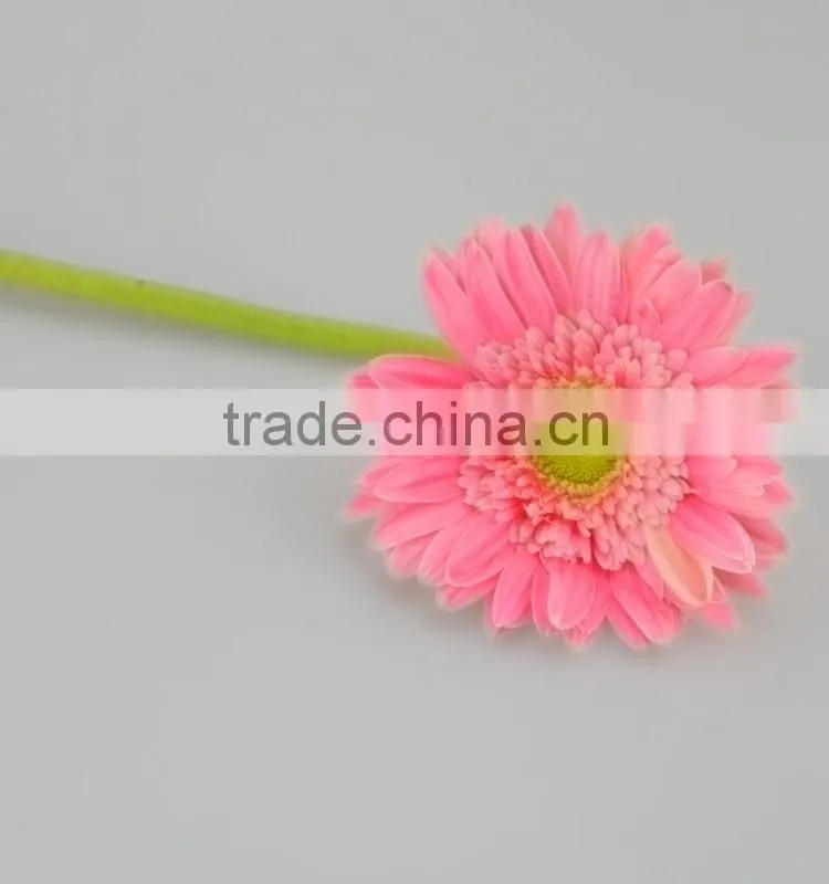 Excellent quality Honey products for 2016 gerbera flower