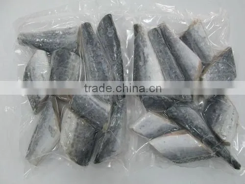 Frozen spanish mackerel fillet