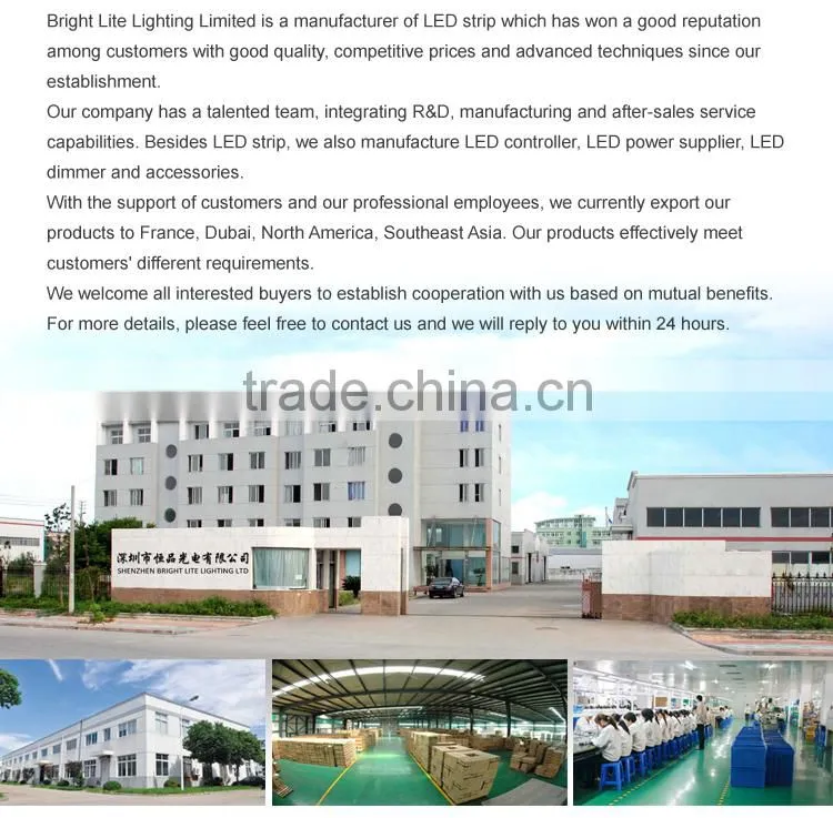 3014 Waterproof IP67 natural white 60LED UL certificate color changing led strip light