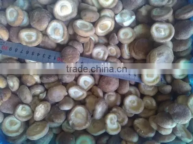 IQF frozen shiitake mushrooms