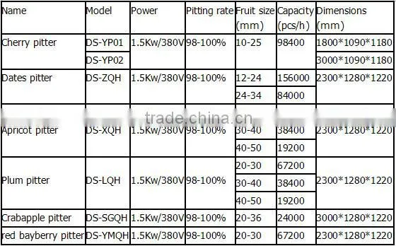 High pitting rate longan fruit pitter machine
