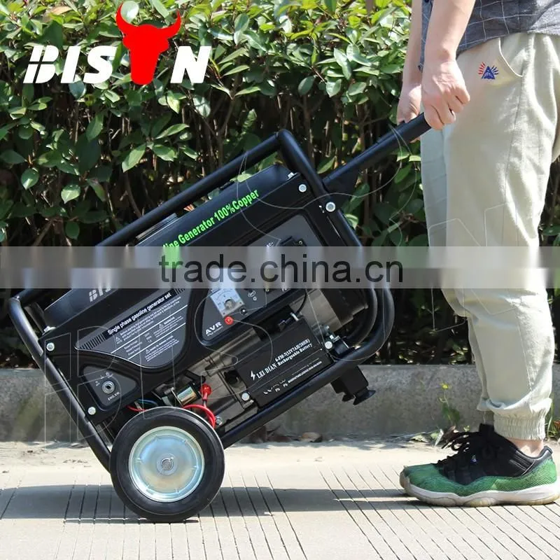 BISON(CHINA) BS3500 2.8kw Gasoline Generator