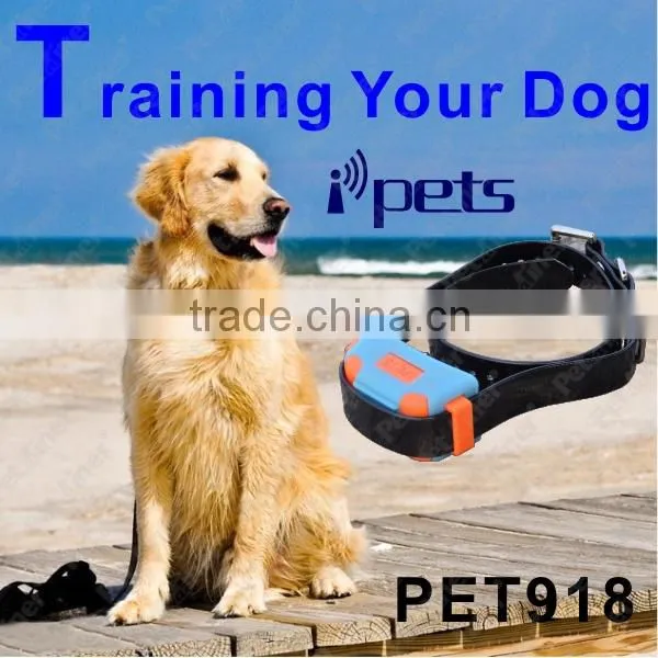Electronic fencing dog and e-collar control by phone