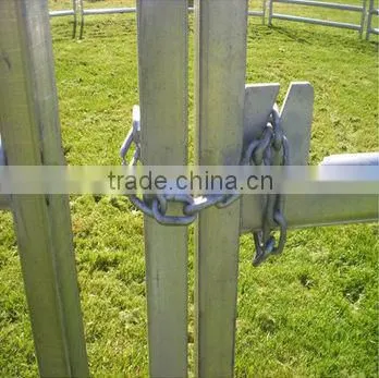 Stables for cattle barrier in galvanized for cattle