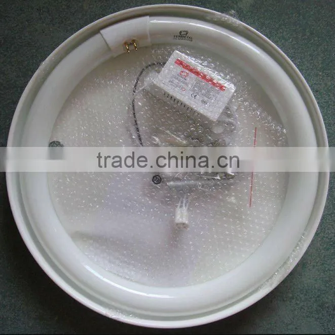 T9 22W fluorescent circular lamp