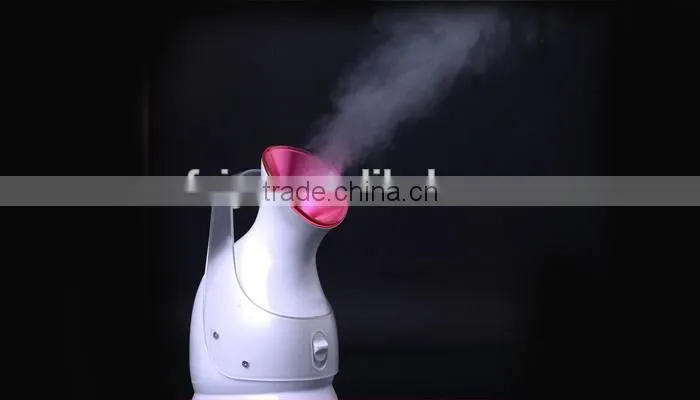 Portable Handle Ionic Beauty Facial Steamer Professinal Facial Steamers