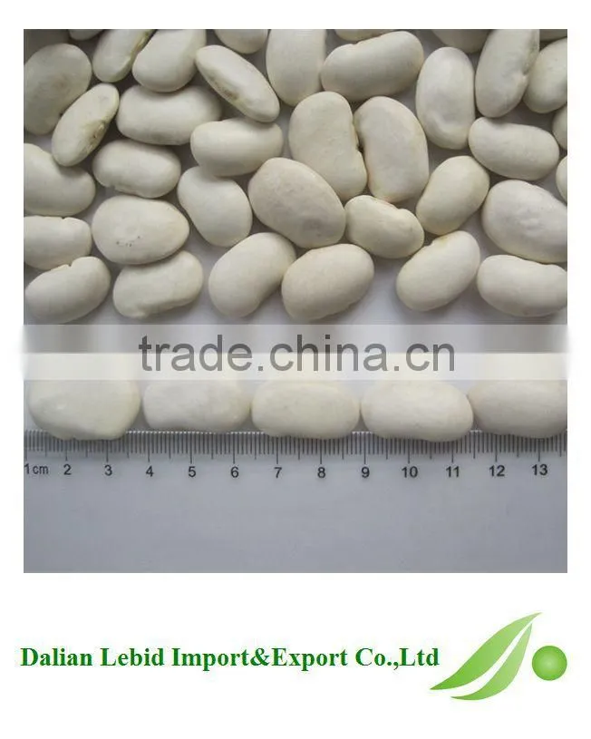 All Kinds Of Bean Cooking White Beans Competitive Price 2016 Crop Wholesale
