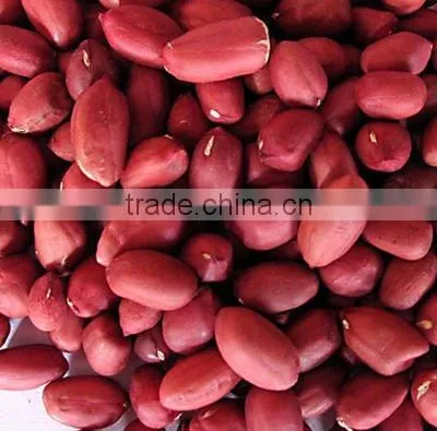 peanut kernels manufacturer in china, blanched and peanut in shell