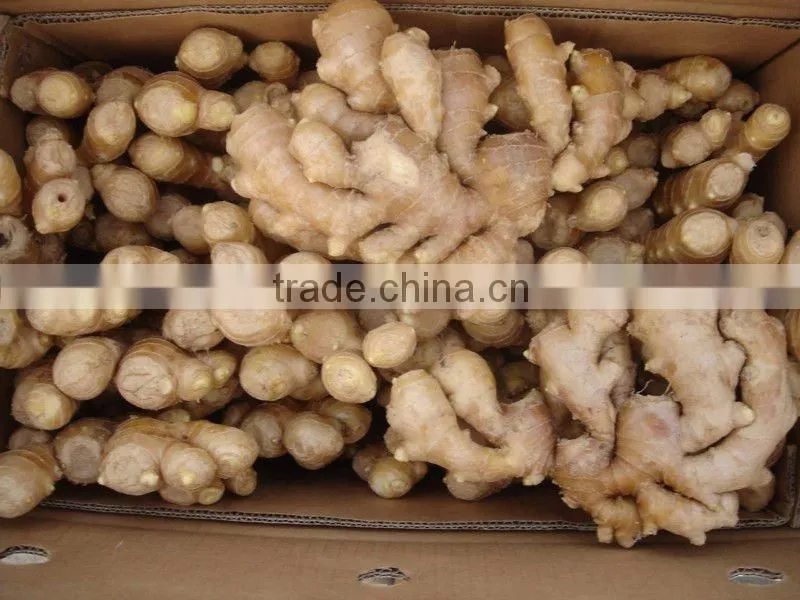 new crop dried ginger