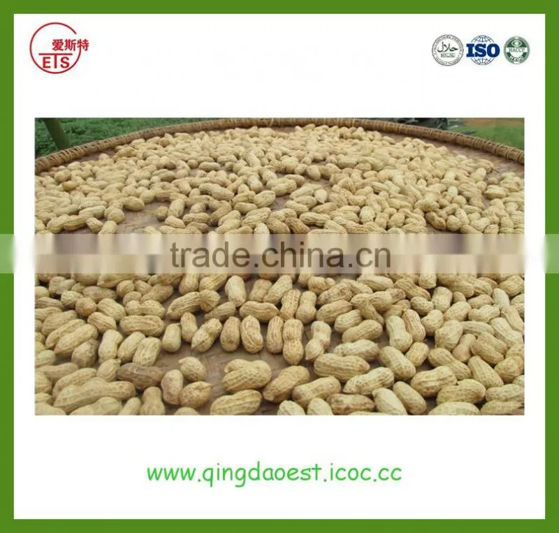 Offer china Shandong Blanched Peanut Groundnut Splits
