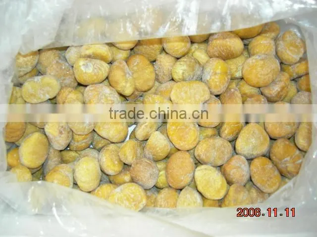 raw bulk Fresh Chestnut in shell crop new grade aa