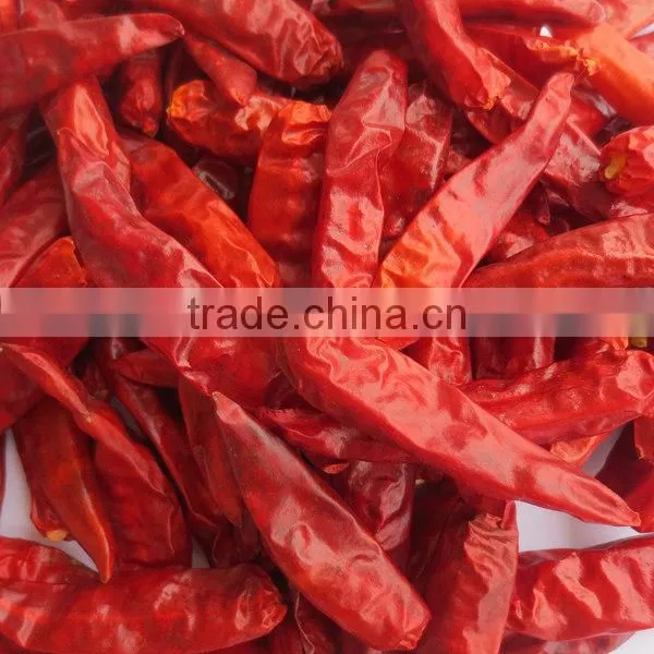 Extra hot dried red Tianyu chilli