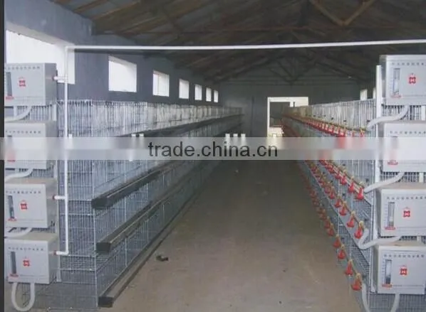 Bird cages quail battery cages quail cage