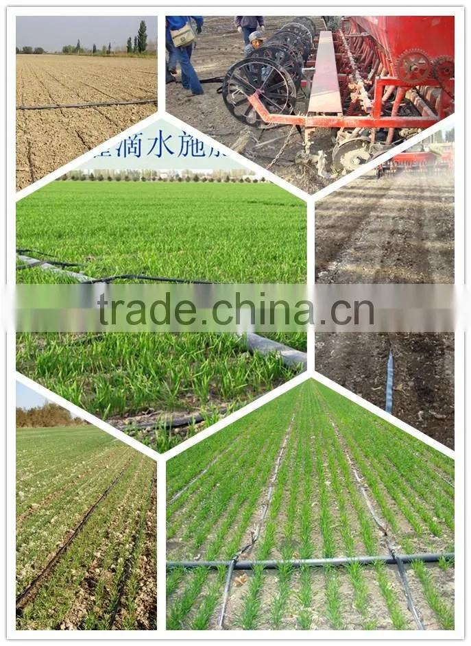 DAYU Irrigation - Drip Tape for Farmland and Forestry watering tube