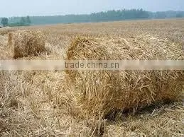 Wood pellet mill / wood pellet maker machine