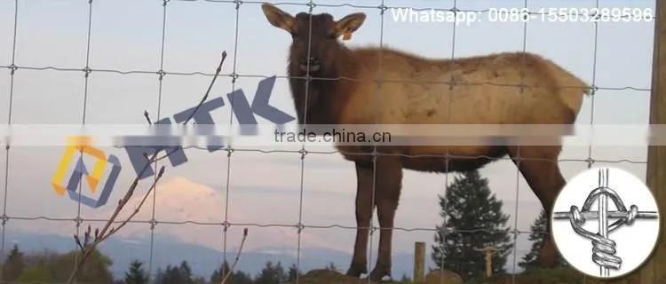 Fixed Knot Cattles Field Fencing machine