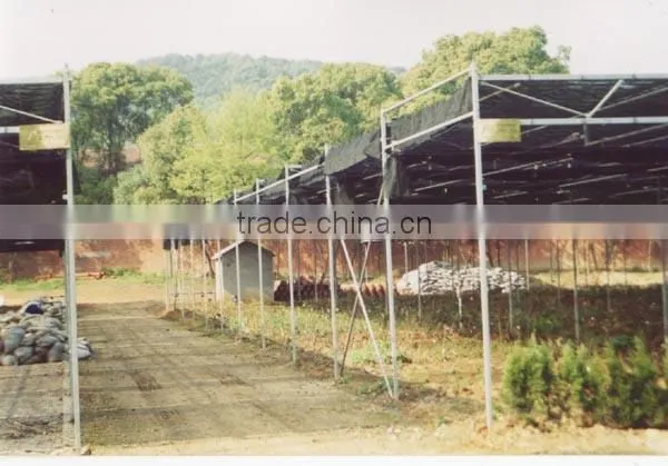 Insect Net Covered Shade House
